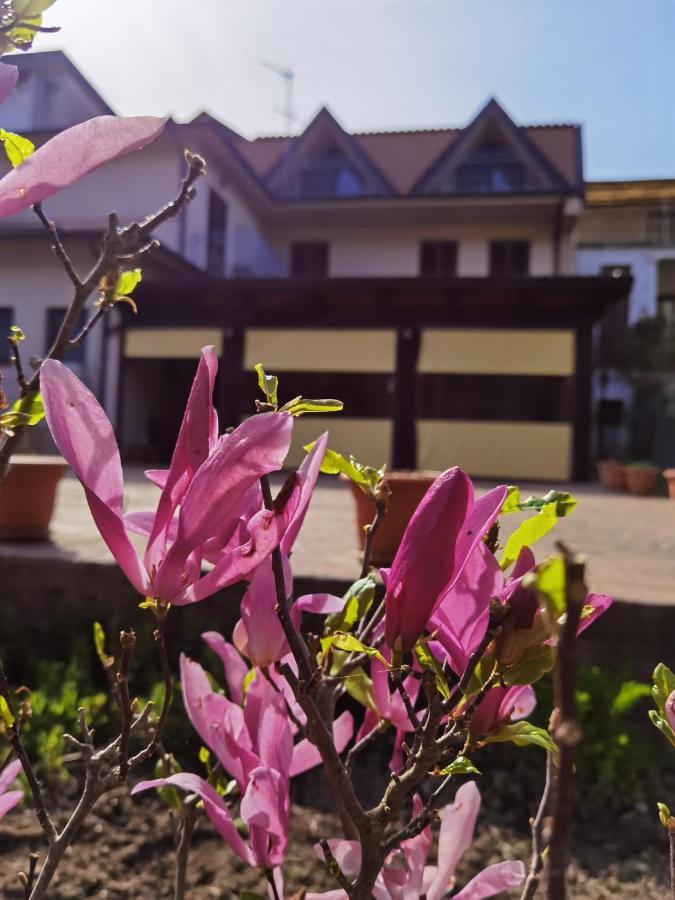 Hotel Edelweiss Laino Borgo Exterior foto